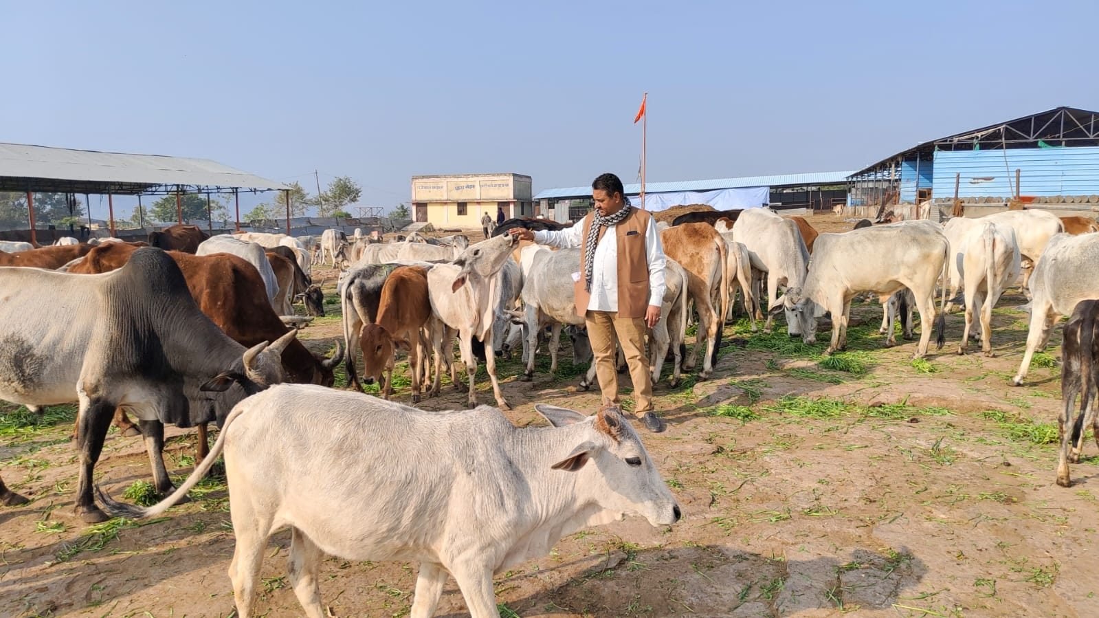 देव धाम श्री देव नारायण मन्दिर — मेंहदी का छापर, बहेलिया गाँव